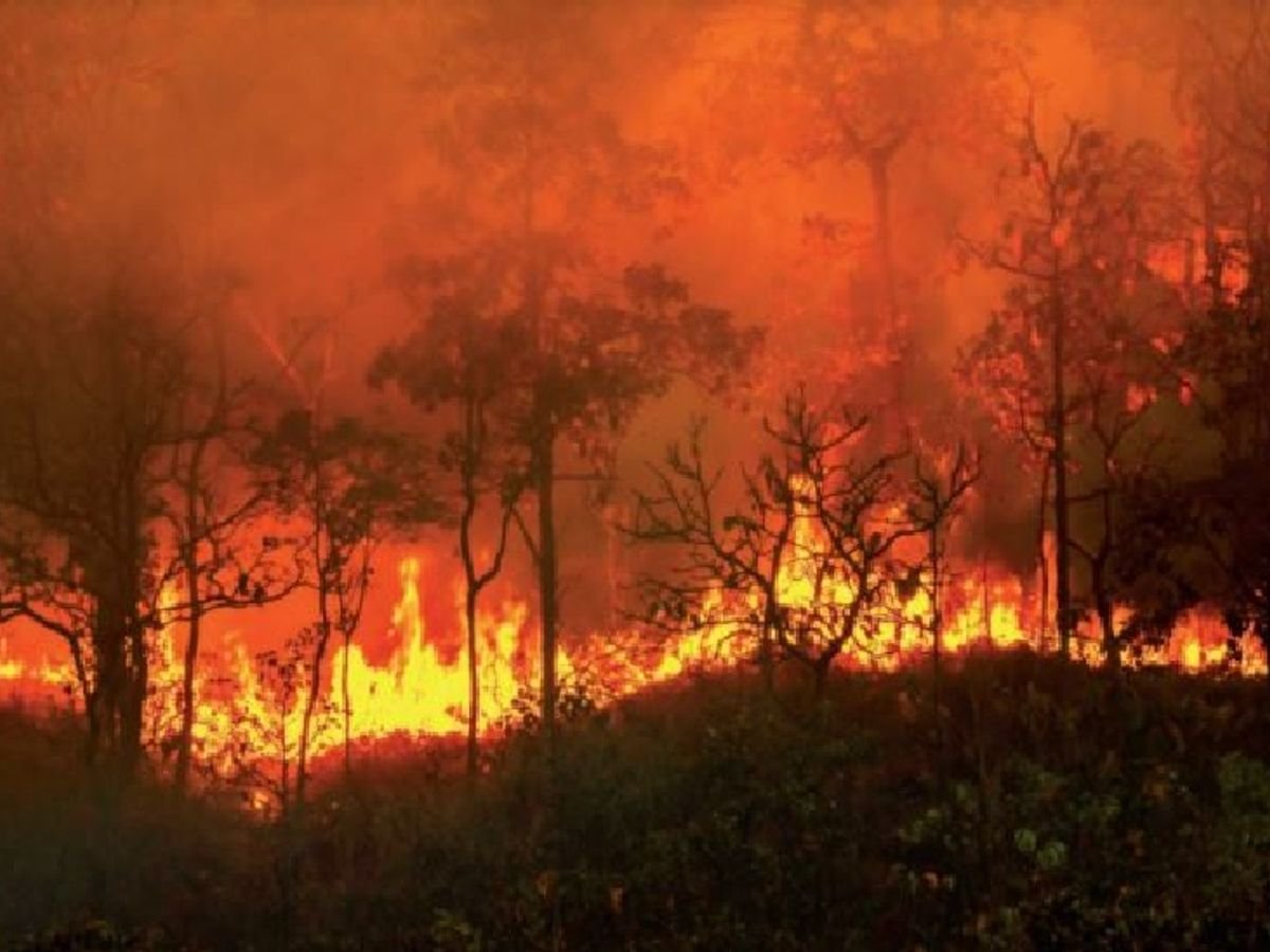 मिशन ‘नंदा देवी’: वायुसेना के MI-17 ने आसमान से बरसाया पानी, धधकते जंगलों को किया शांत